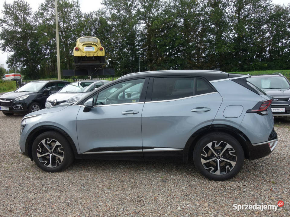 Kia Sportage BUSINESS LINE SALON POLSKI 1 Słupsk