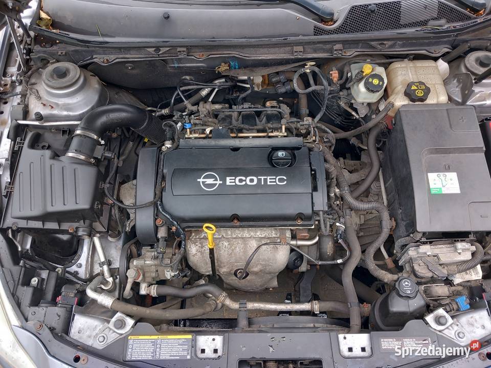 Opel Insignia 2009r niski przebieg 124 bagażnik pomorskie Gdańsk