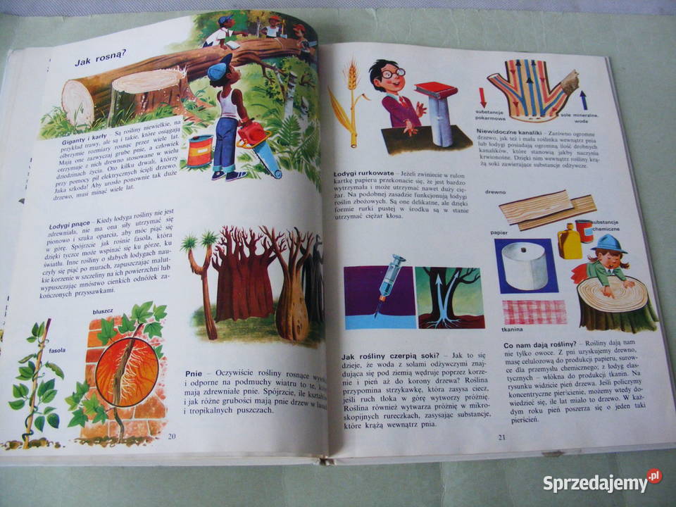 Encyklopedia Świat dziecka Tom 23 i 4 Książki dla dzieci