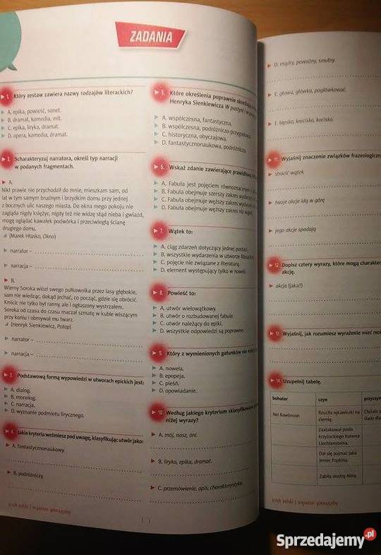 Organizer Gimnazjalny język polski Wydawnictwo