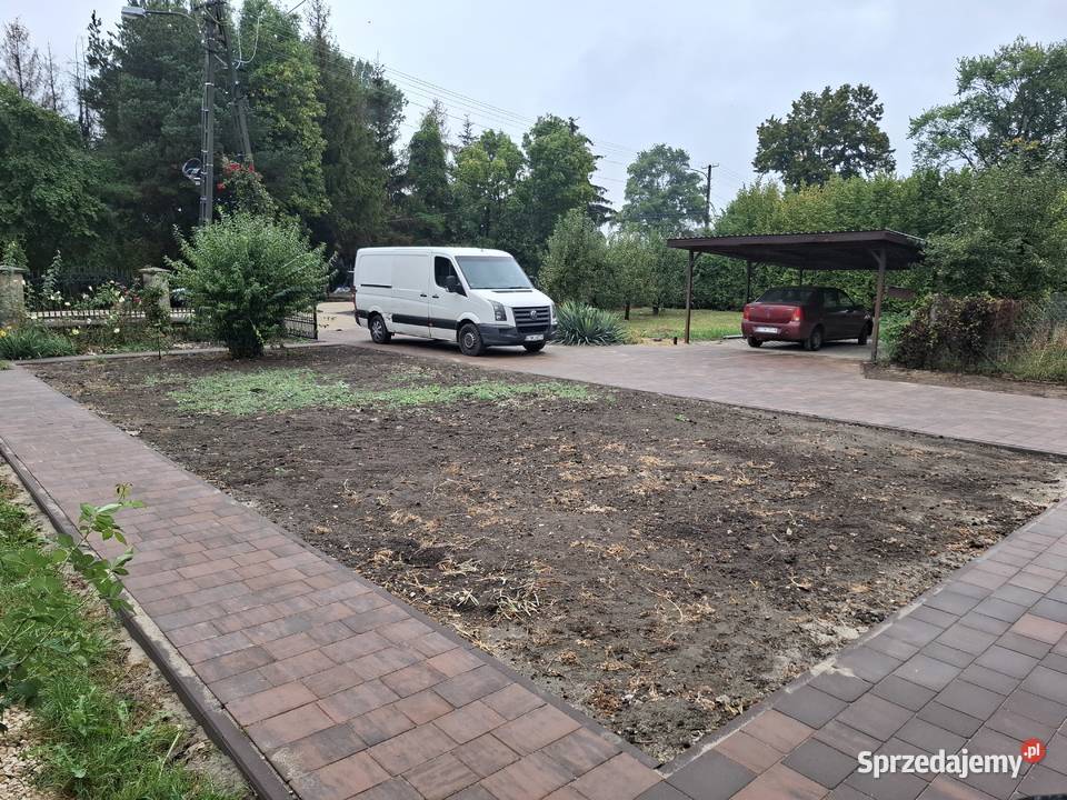 Usługi ogodnicze wycinki porządkowanie działek Piotrków Trybunalski
