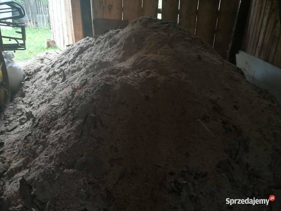 Trociny duża ilość kawę Rząśnik