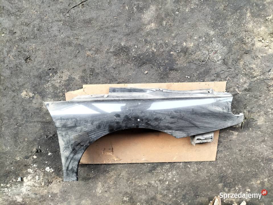 Renault Laguna I błotnik prawy Kamień-Kolonia