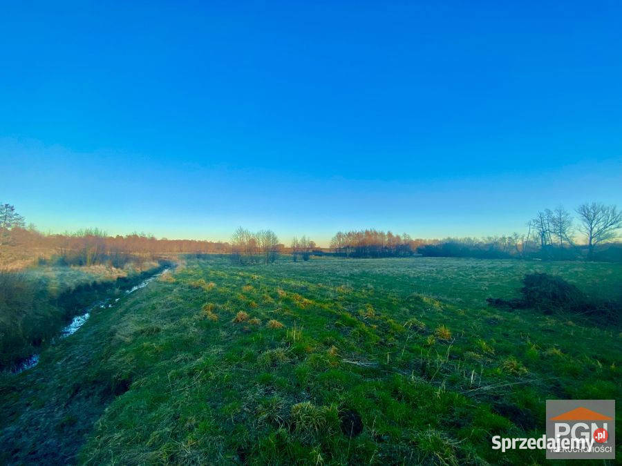 Działka Gryfice 14700m2 Sprzedaż zachodniopomorskie
