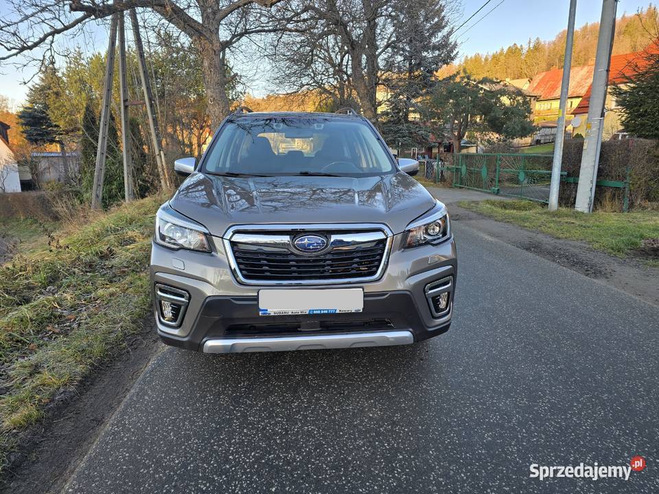 Forester 20 Eboxer Kowary