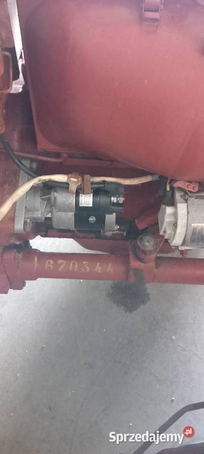 Wladymirec t25 oryginał igielka małopolskie Jangrot sprzedam