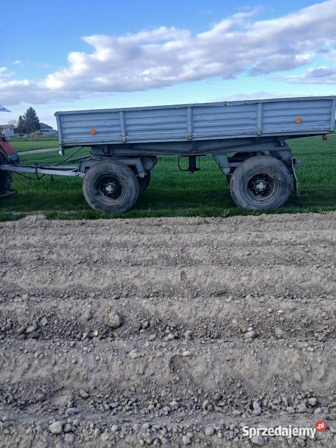 Przyczepa D 55 D55 Autosan Sanok nieuszkodzony łódzkie Babczów sprzedam