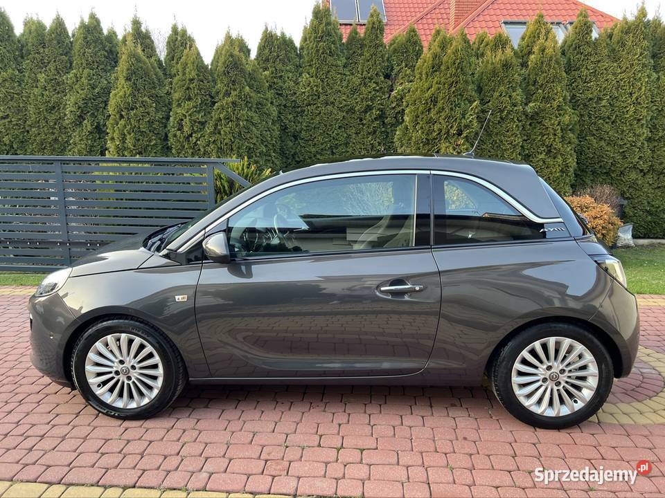 Opel Adam 14 16v Super Stan serwisowany w ASO Rzeszów