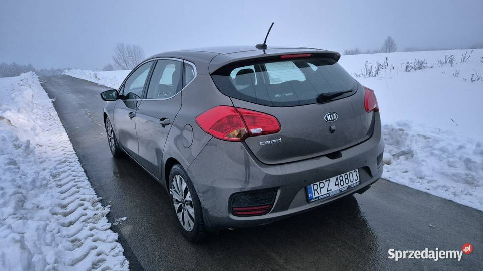 Kia Ceed 16 benzyna bezwypadkowy salon polska Jawornik Polski sprzedam