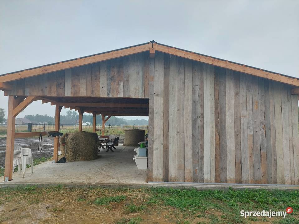 Stajnia do demontażu sprzedam