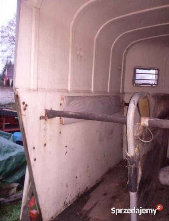 Przyczepa na dwa konie koniowóz Boeckman t2v wielkopolskie Piła