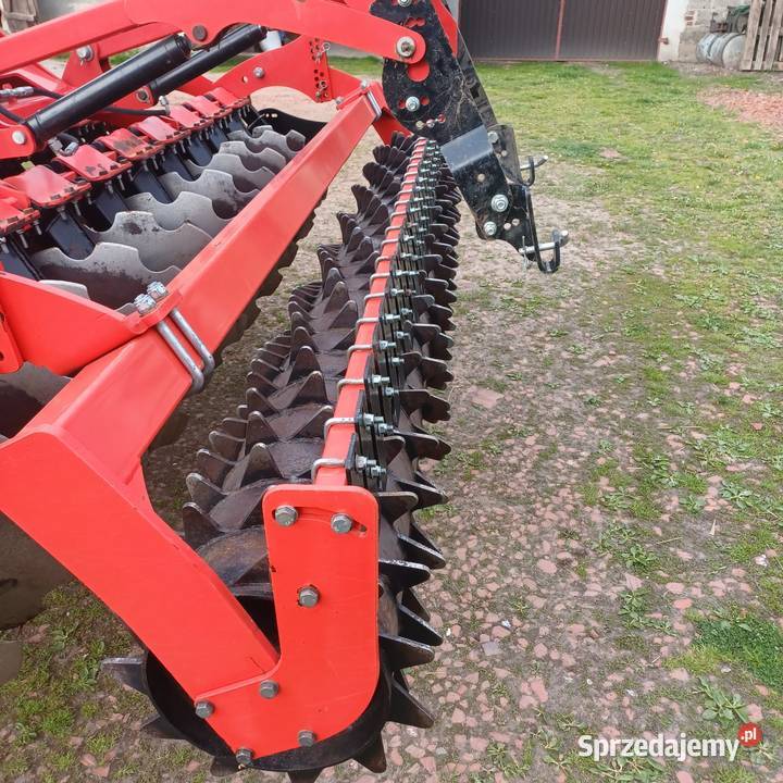 Talerzówka Pozostałe Dziadowa Kłoda