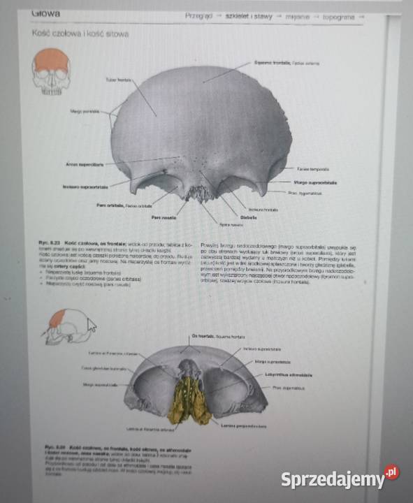 Atlasy anatomiczne Sobotta 3 części pdf Radom