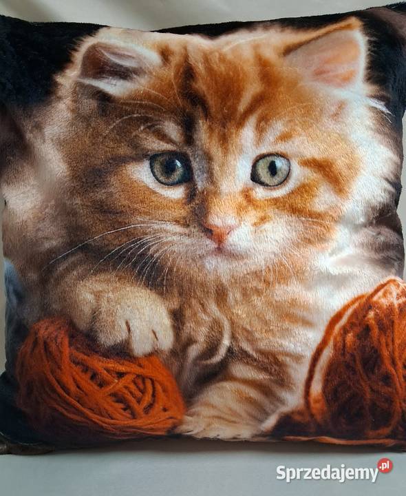 Pluszowy kociak premiium na poduszce sprzedam Nakło nad Notecią