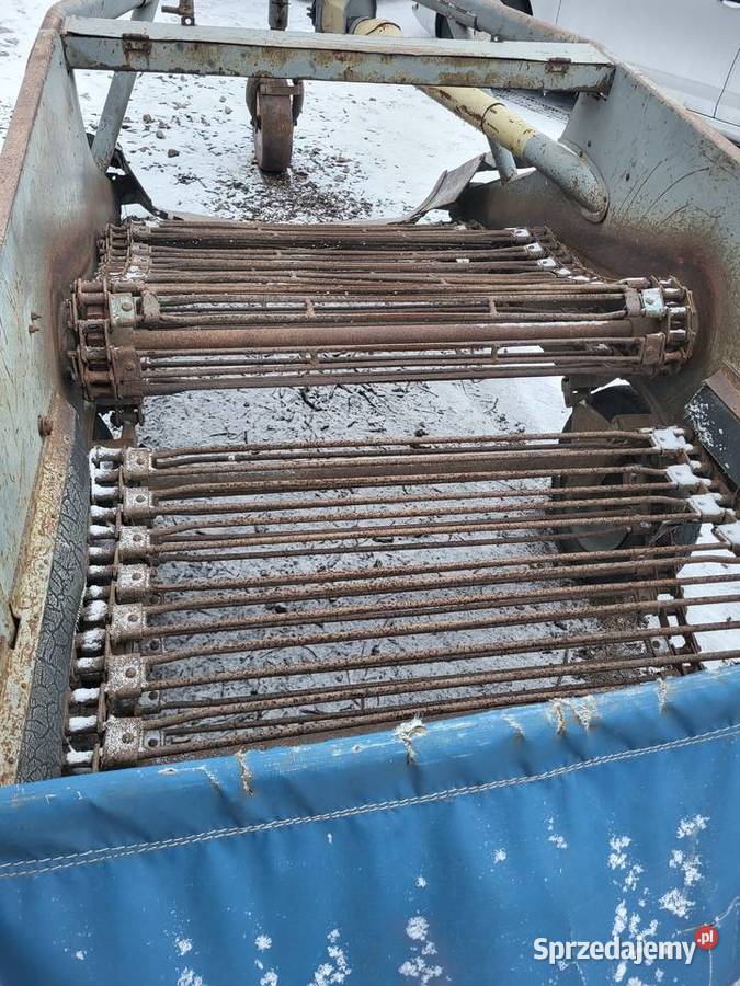 Kopaczka elewatorowa do ziemniaków Wiskitki