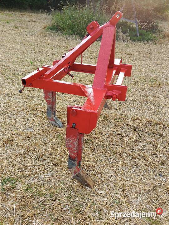 Głębosz 3 zęby lubelskie Stryjno Pierwsze