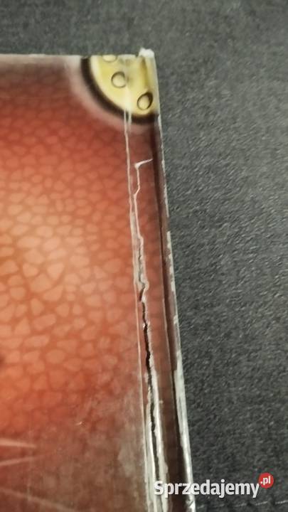 wielka księga smoki w środku plakietki Poznań sprzedam