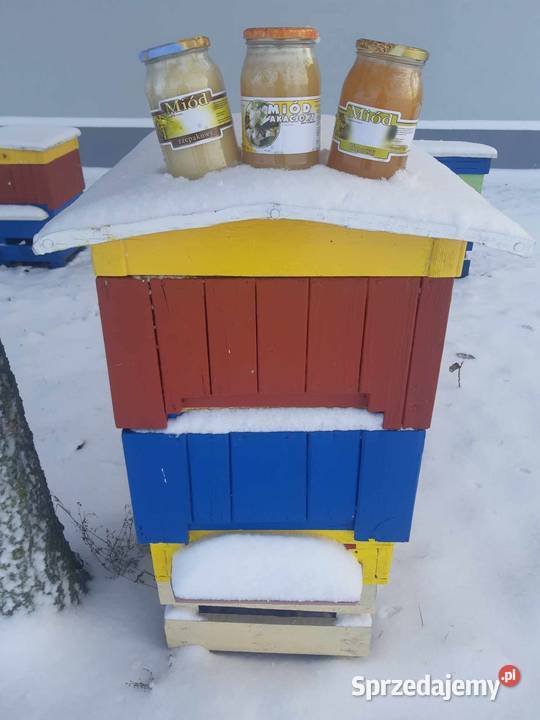 Miód rzepakowy akacjowy wielokwiatowy lipowy Słupca