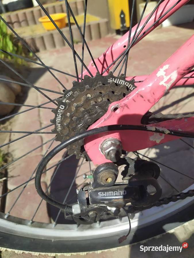 rower kross Wólka Abramowicka