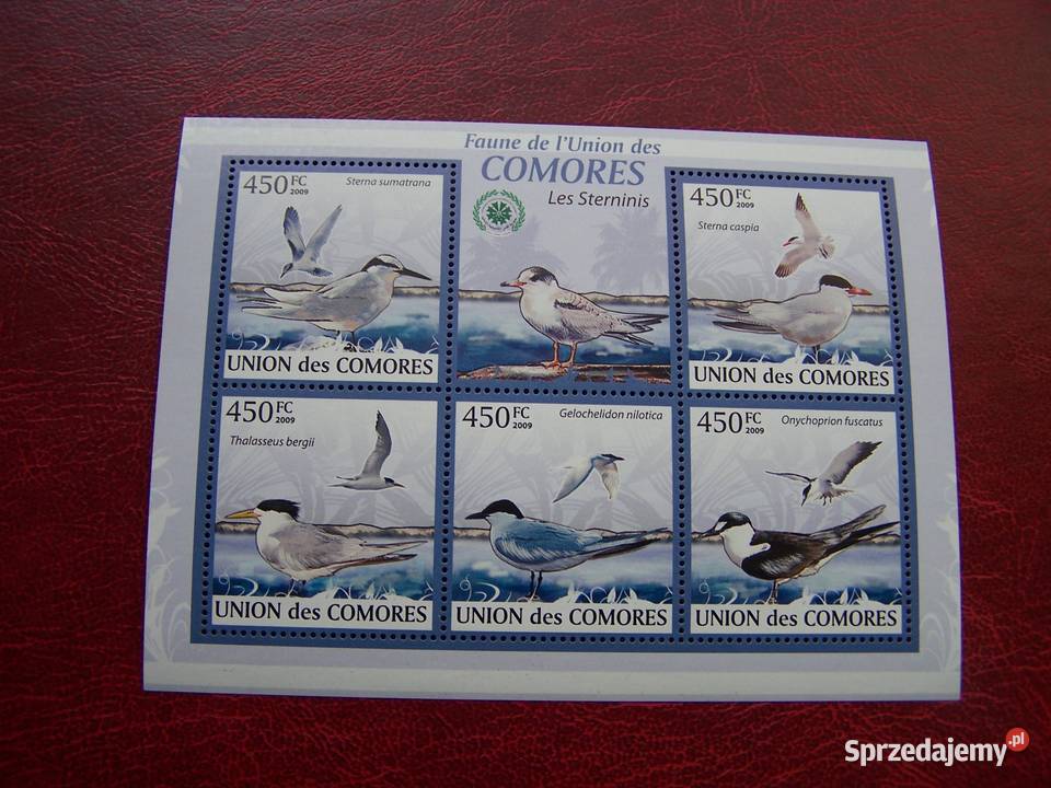 Komory 2009 MNH Fauna Ptaki Mewy Tychy sprzedam