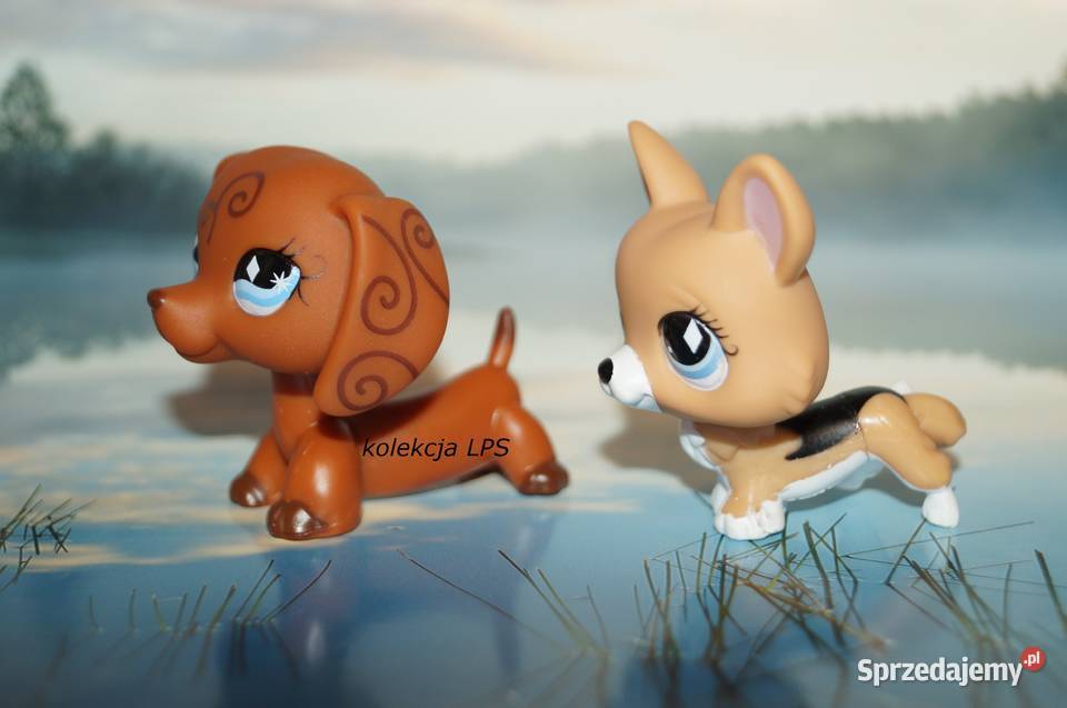 LPS Littlest Pet Shop jamnik 640 corgi 639 Hasbro Rybnik