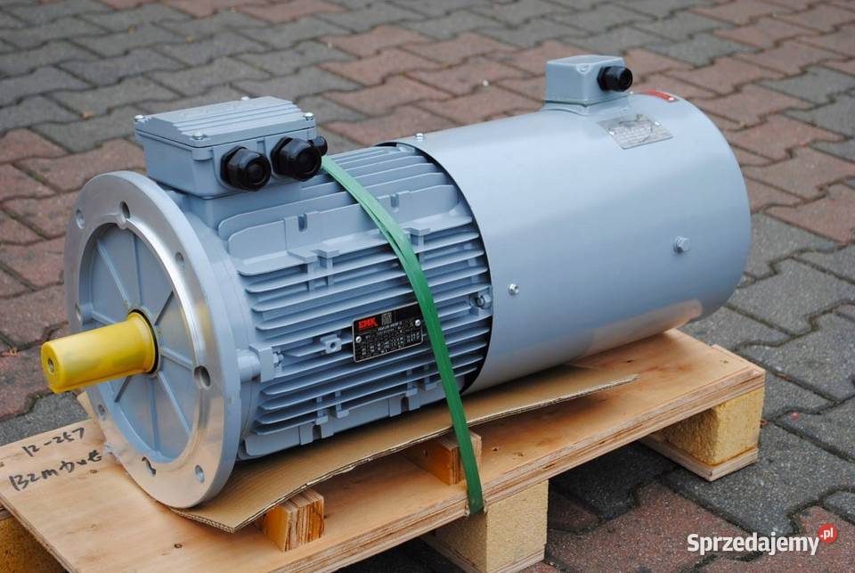 Silnik elektryczny kołnierzowy 75kw 1460obrmin lubuskie Kargowa