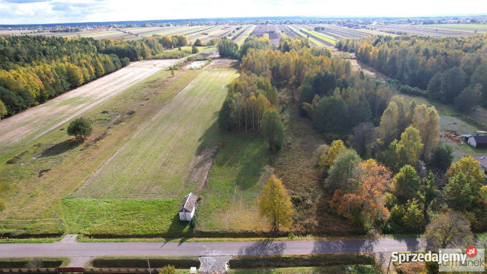 Działka Margole 7900m2 Grunty i działki