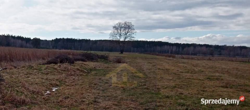 Do sprzedaży działka Chrosna 49m mazowieckie sprzedam