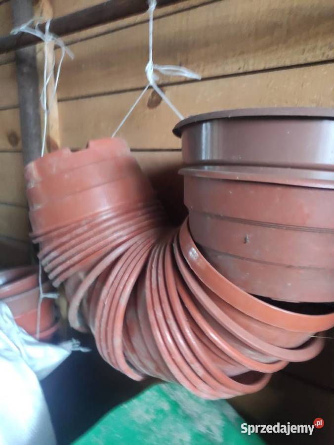 Doniczki chryzantemowe 23 Radom