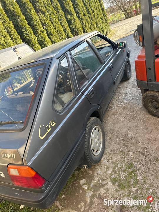 Polonez Caro 16 Polonez Zamch