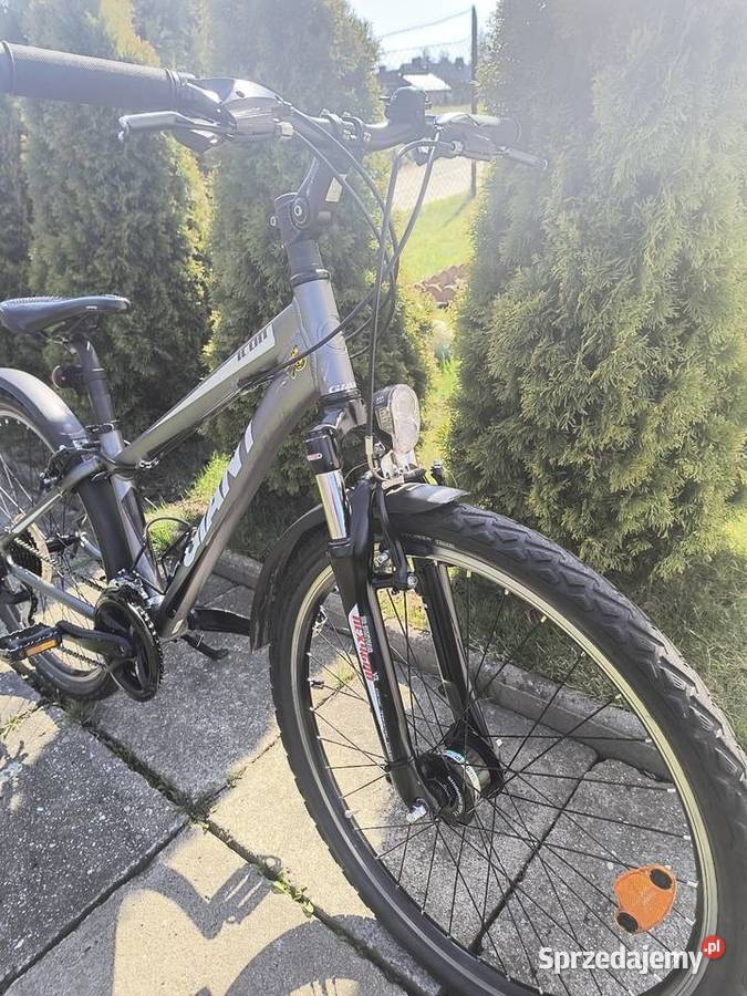 Rower Giant Wilkowice