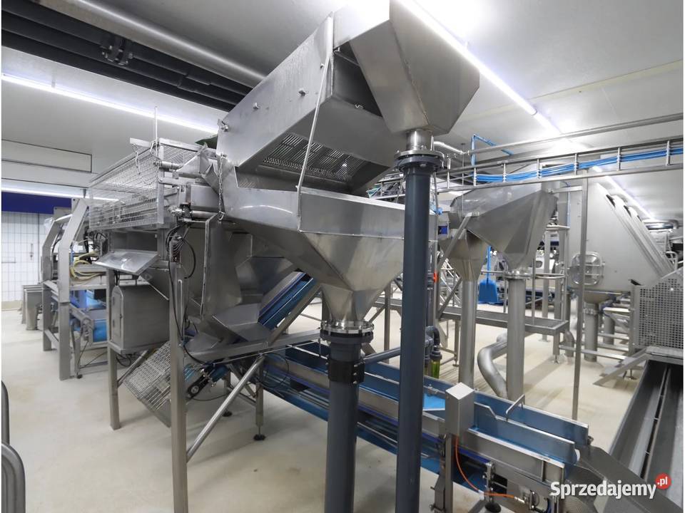 Odenberg Tomra Linia sortowania ziemniaków Produkcja wielkopolskie