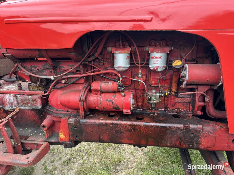 Ciągnik rolniczy David Brown 850 tanio do Kosianka-Trojanówka