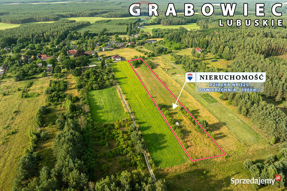 Na sprzedaż działka rolna 7900 m2 pod lasem Grabowiec