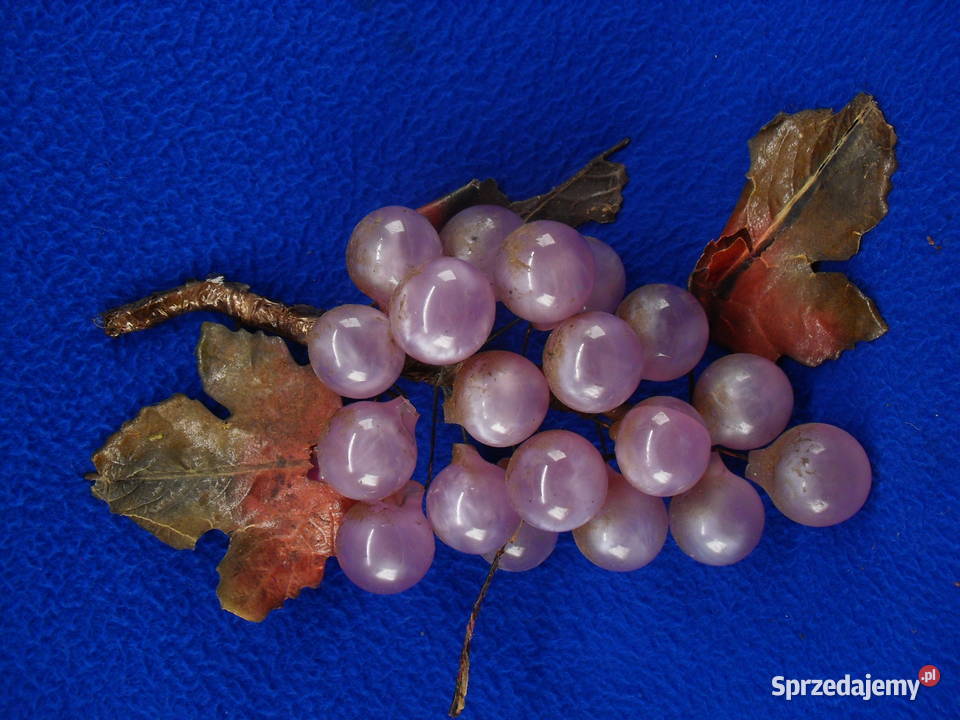 WINOGRONA DO DEKORACJI dolnośląskie Bielawa sprzedam