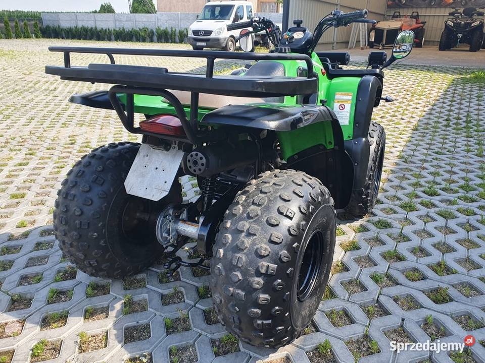 AEON COBRA 150 SUPER STAN SERWIS DOSTAWA Wały A sprzedam