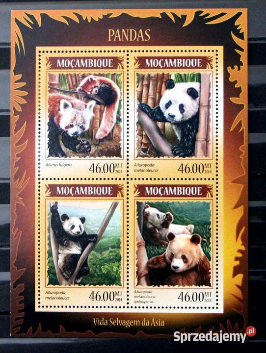 Mozambik panda 2 Oborniki