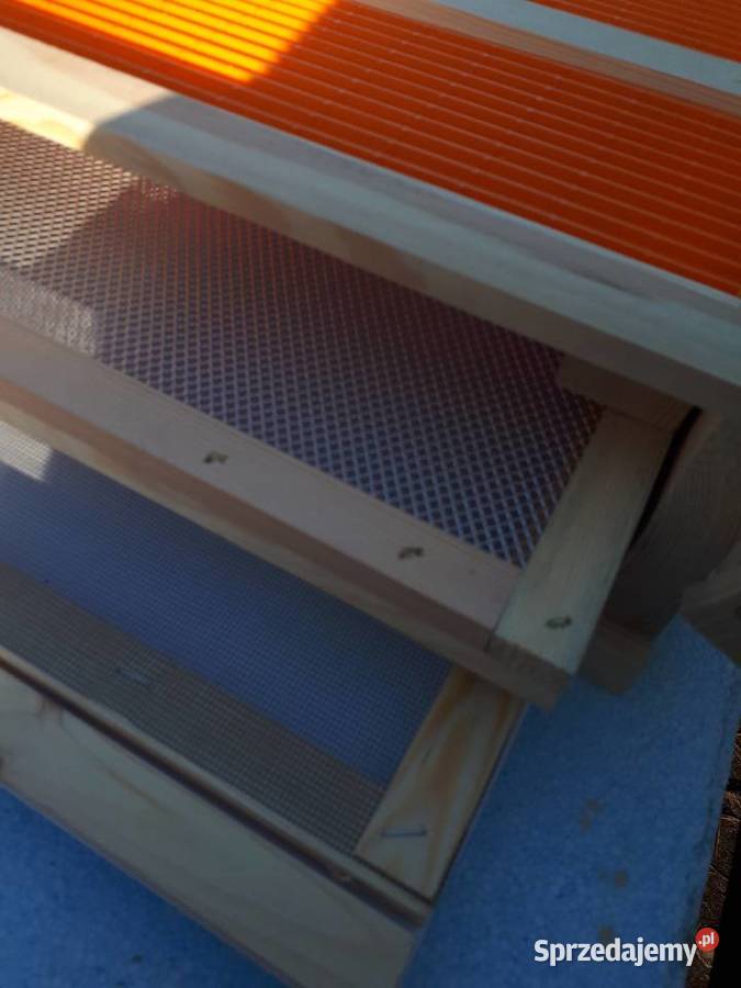 Ule wielkopolskie dennica z poławiaczem pyłku