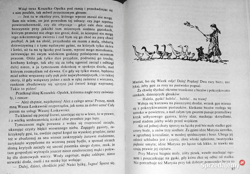 O krasnoludkach i o sierotce Marysi Maria