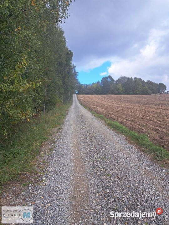 Grunt Łagów 8879m2 Sprzedaż