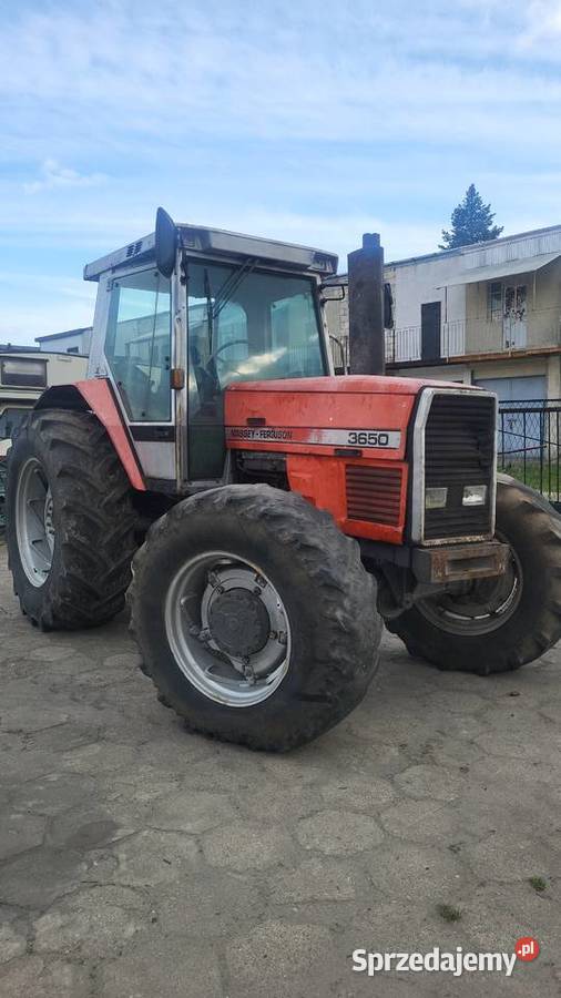 Massey Ferguson 3650 Radzyń Podlaski