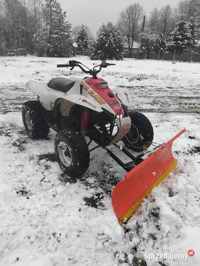 Polaris trailblazer 250