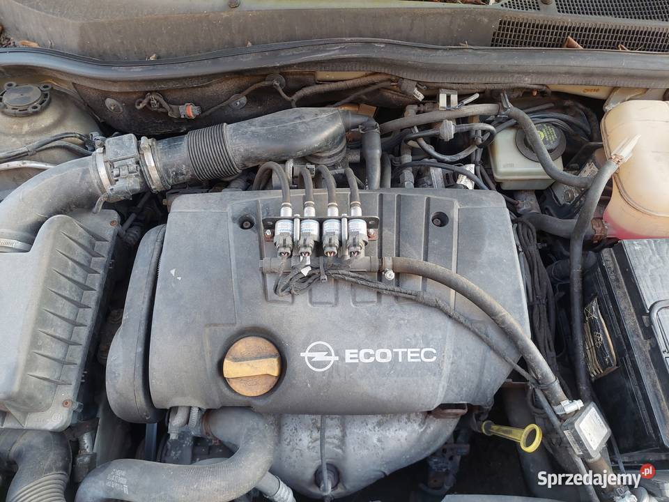 Silnik opel 18 z18xep Olkusz