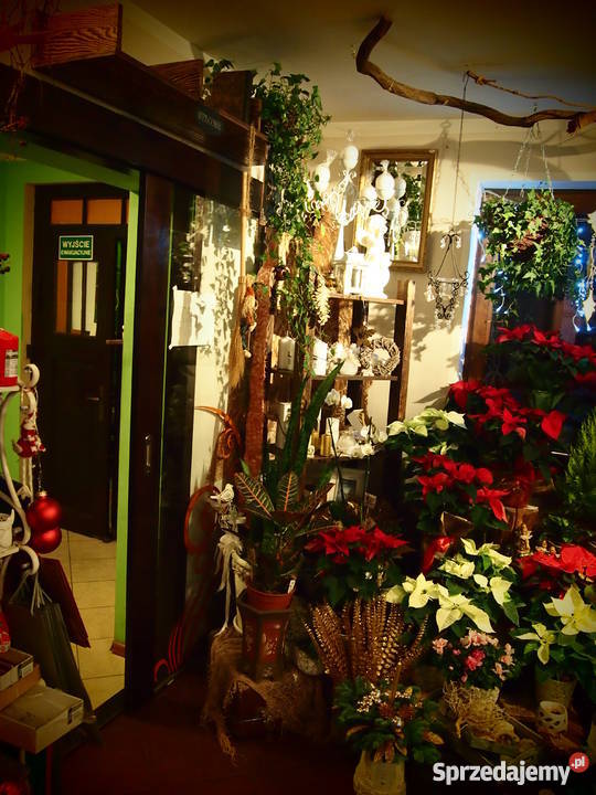 Sprzedam asortyment kwiaciarni Olsztyn sprzedam