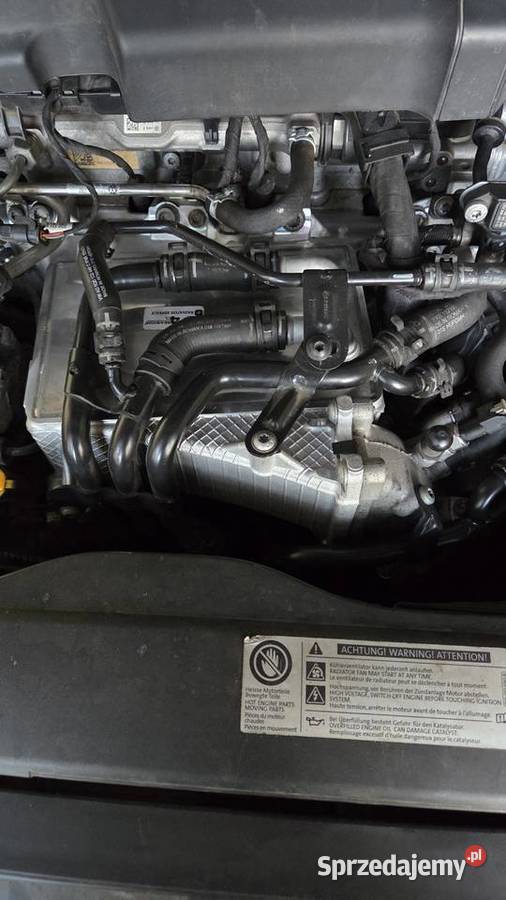 Volkswagen Passat 20 TDI Highline B8 Rurzyca