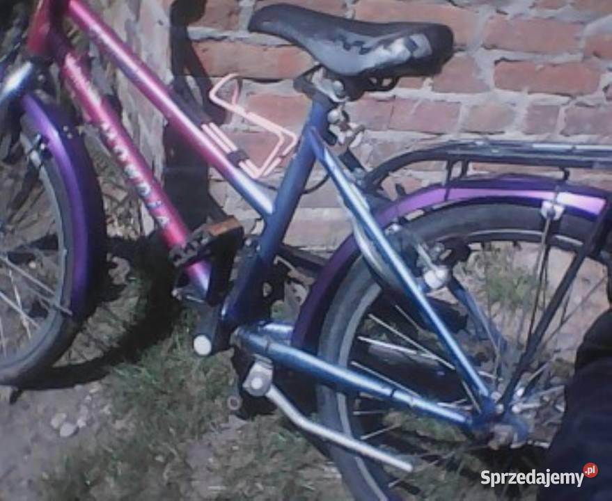 Rowerek dziecięcy 20" Dla Dziecka Niedrzwica Duża