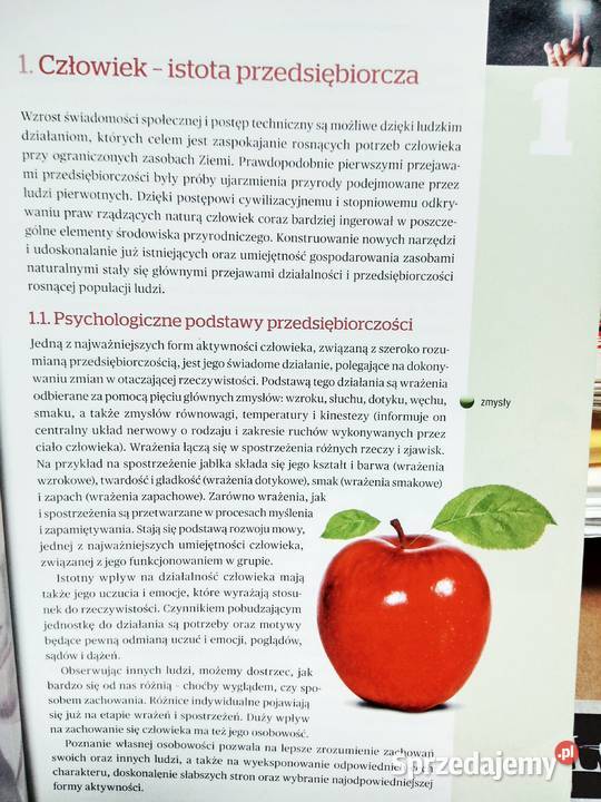 Podstawy przedsiębiorczości operon odkrywamy na mazowieckie