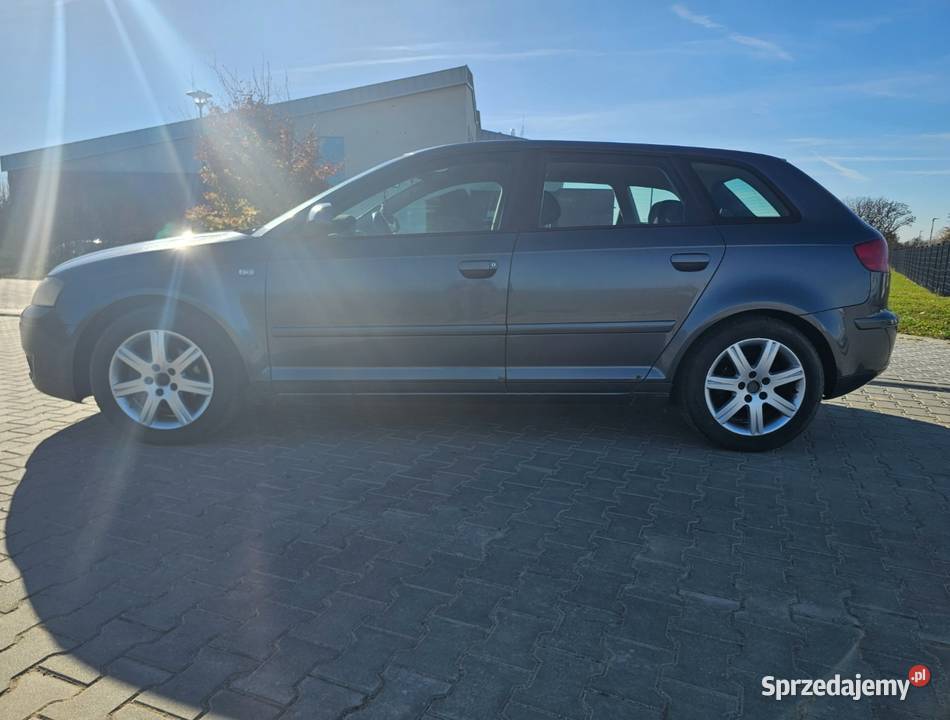 Audi A3 8P 20 tdi nieuszkodzony dolnośląskie Środa Śląska