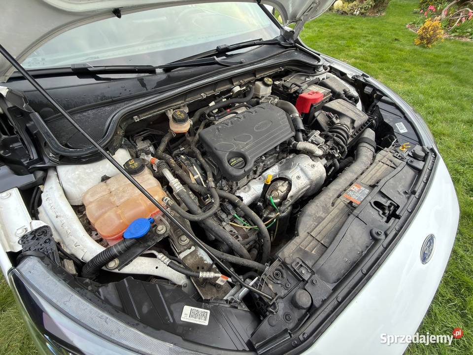 FOCUS zadbany stan welurowa tapicerka Rzeszów sprzedam