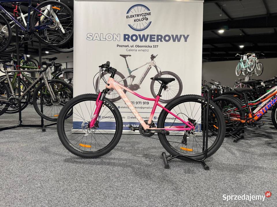 Rower MTB Junior STORM Queen 26 Rama 15 Raty 0 wielkopolskie Poznań